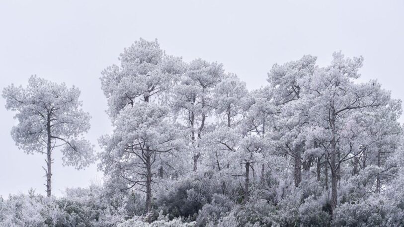 Roger Vivé, foto 07