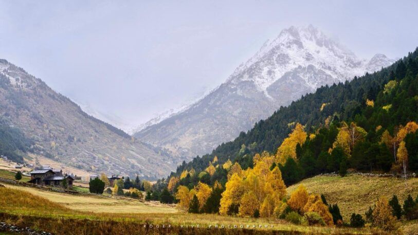 Roger Vivé, foto 01