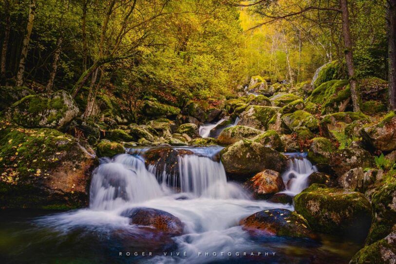 Roger Vivé, foto 03