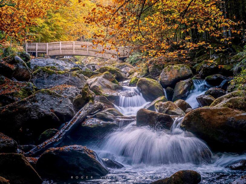 Roger Vivé, foto 04