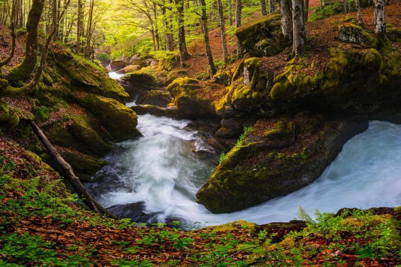 Roger Vivé, foto 05