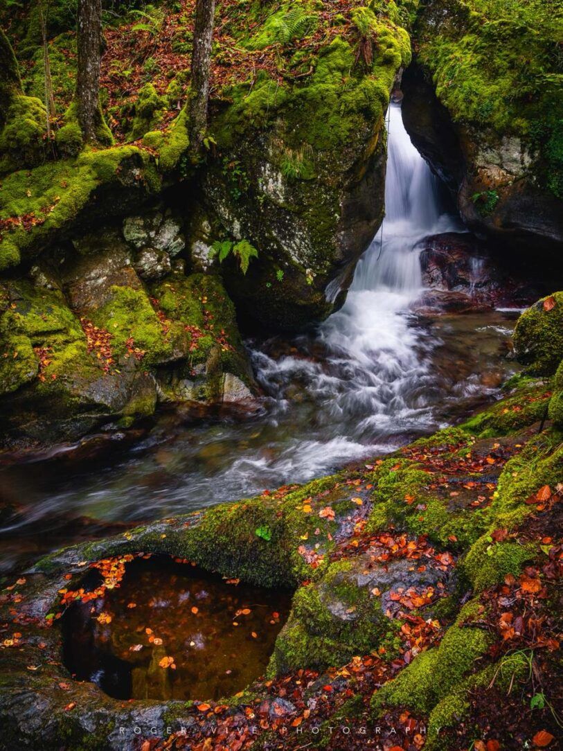 Roger Vivé, foto 06