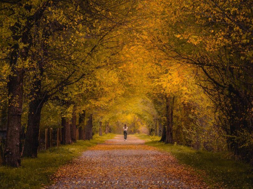 Roger Vivé, foto 09