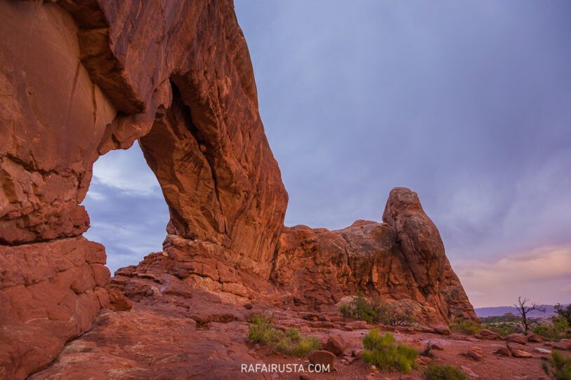 Rafa Irusta, foto 07