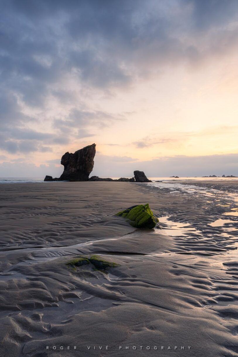 Roger Vivé, foto 07