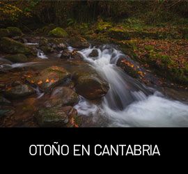 Galería Otoño en Cantabria