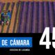 DETRÁS DE CÁMARA [45]: Cosecha de lavanda