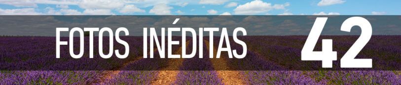 FOTOS INÉDITAS [42]: Tiempo de lavanda