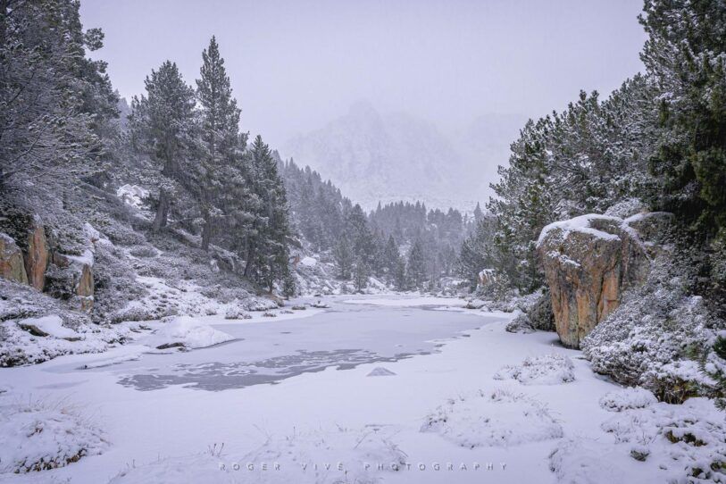 Mejora tus fotografías de invierno con Roger Vivé 1
