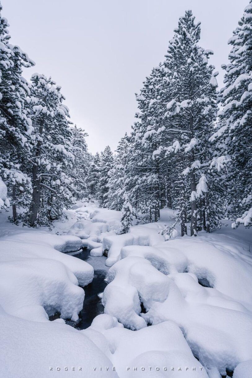 Mejora tus fotografías de invierno con Roger Vivé 7