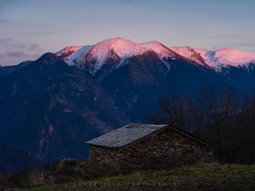 La importancia de llegar antes y quedarte después, Roger Vivé 4