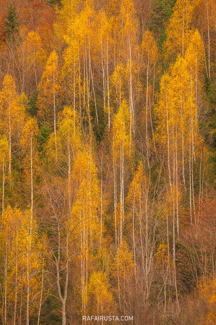 Ejercitando tu creatividad con Rafa Irusta 02