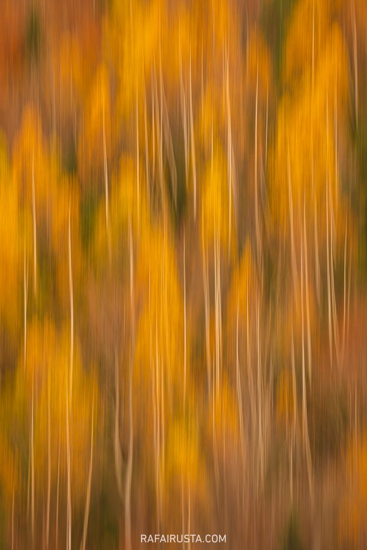 Ejercitando tu creatividad con Rafa Irusta 03