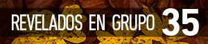 REVELADOS EN GRUPO [35]: Contrastes de otoño
