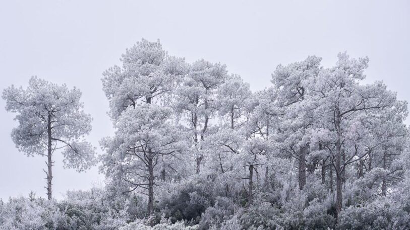 DH 128 Cómo aprovechar los días grises en fotografía de paisaje. Roger Vivé 04