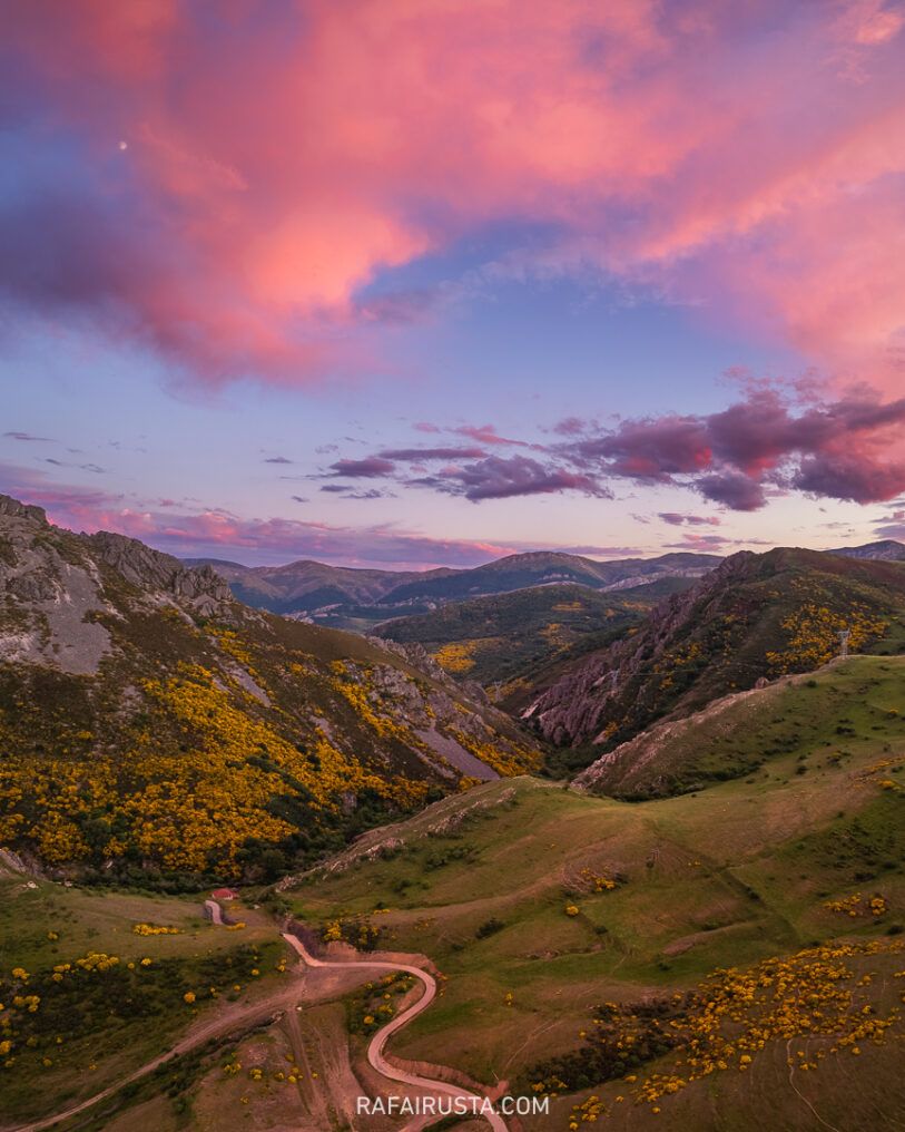Cómo fotografiar flores silvestres en primavera, Rafa Irusta 01