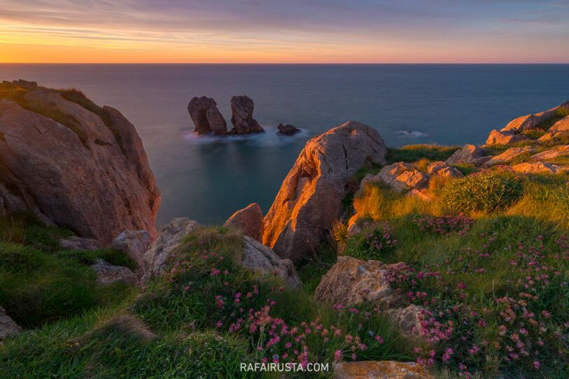 Cómo fotografiar flores silvestres en primavera, Rafa Irusta 03