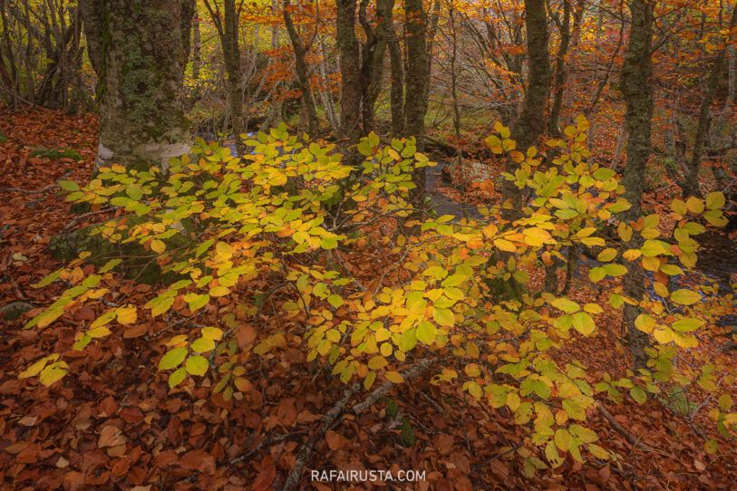 Nitidez con trípode, viento y largas exposiciones, Rafa Irusta 03