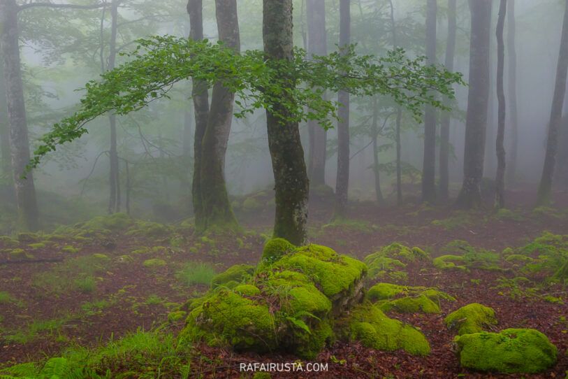 Nitidez con trípode, viento y largas exposiciones, Rafa Irusta 06