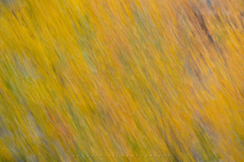 Nitidez con trípode, viento y largas exposiciones, Roger Vivé 04