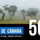DETRÁS DE CÁMARA [50]: Bosque de Fanal, Madeira