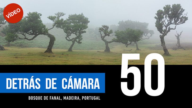 DETRÁS DE CÁMARA [50]: Bosque de Fanal, Madeira