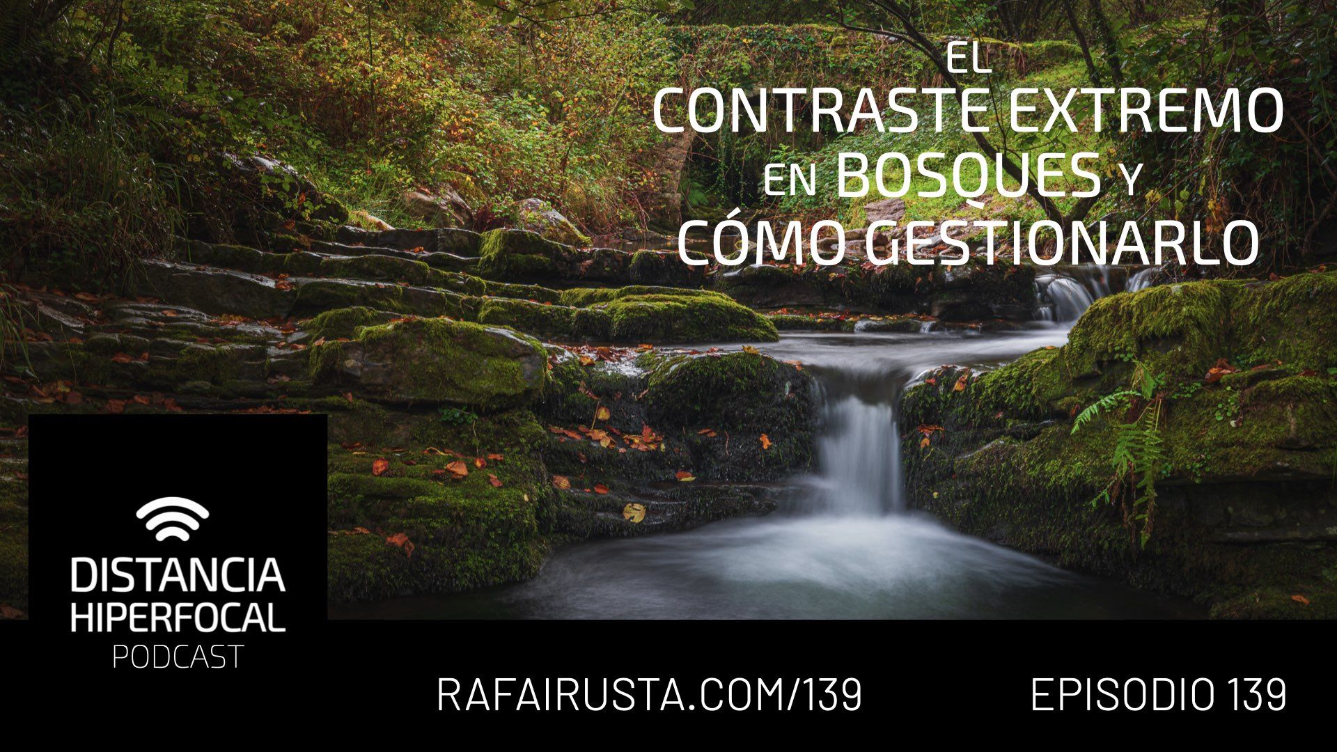 DH 139 El contraste extremo en bosques y cómo gestionarlo