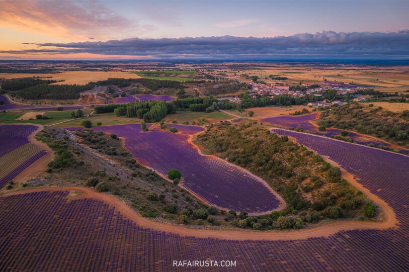 Cómo fotografiar campos de lavanda y girasoles, Rafa Irusta 02