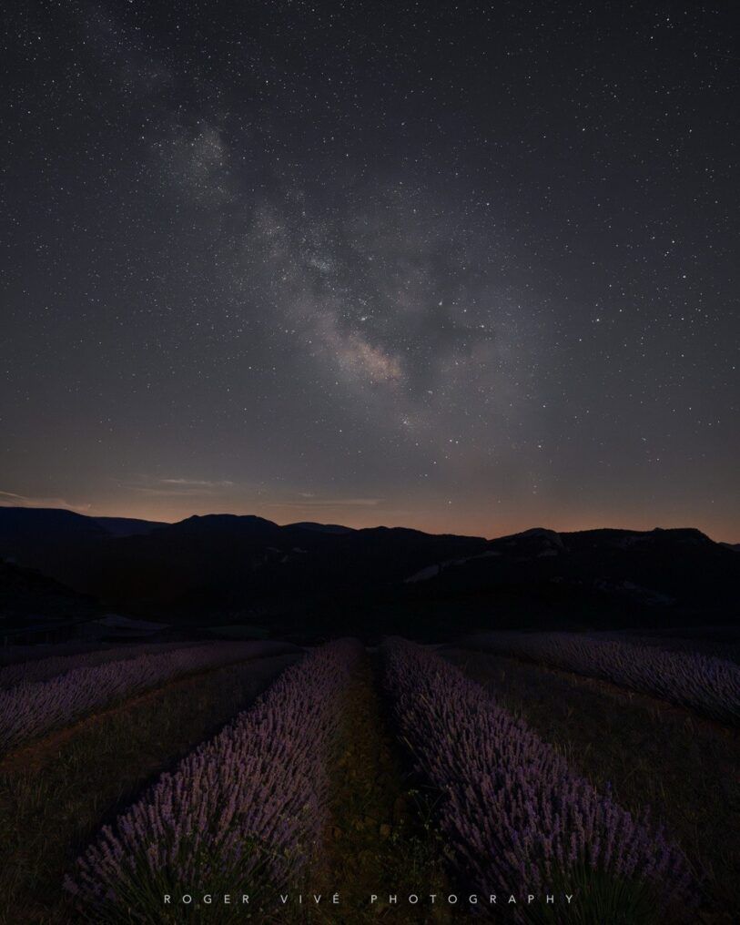 Cómo fotografiar campos de lavanda y girasoles, Roger Vivé 01